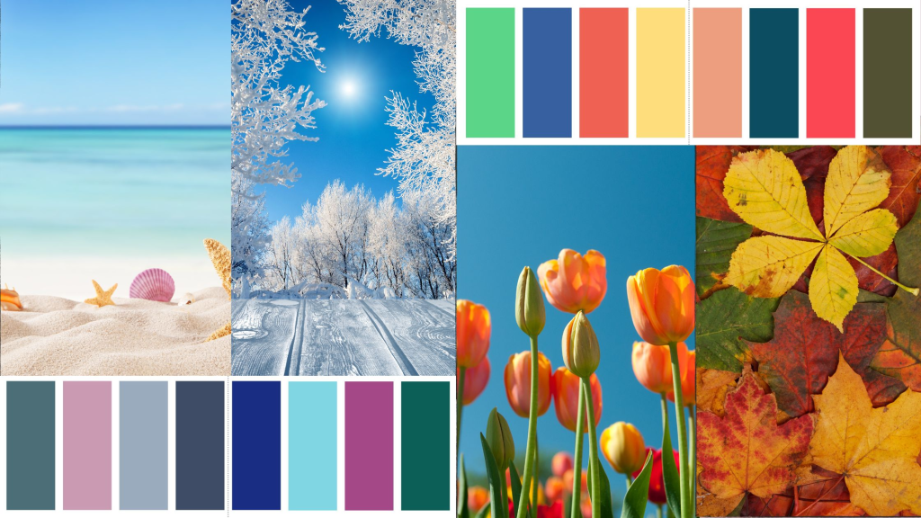 A collage showcasing seasonal themes with a beach scene, a snowy landscape, vibrant tulips, and autumn leaves, accompanied by color palettes representing each season.